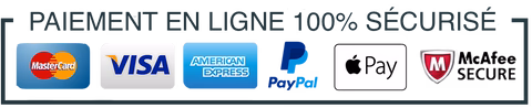 paiement en ligne sécurisé