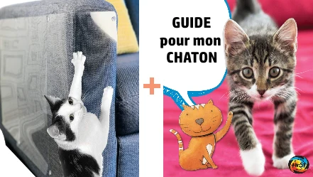 protecteur de meuble pour chat bonus